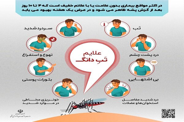 آمادگی شهرداری تبریز برای همکاری با دستگاه های متولی در خصوص مقابله با تب دانگی