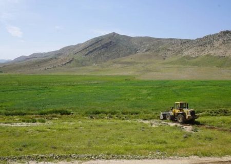 مبارزه با آفات در سطح ۱۳۴ هزار هکتار از مزارع گندم آذربایجان شرقی