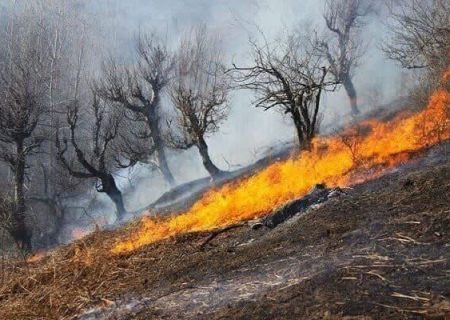 ۴۸ هکتار از مراتع استان زنجان در آتش سوخت
