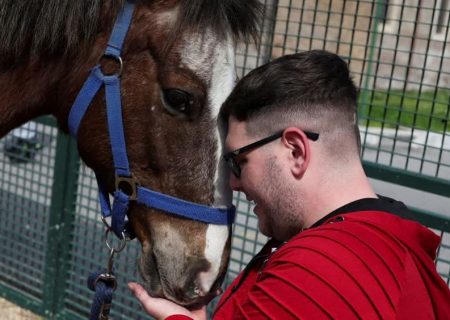 بیمارستان رم از قدرت شفابخش اسب ها برای بیماران عصبی استفاده می کند