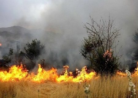 مراتعی که در آتش بی‌مهری انسان‌ها می‌سوزند