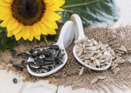 چرا تخمه شکستن لذت بخش است/ اعتیاد به مواد غذایی