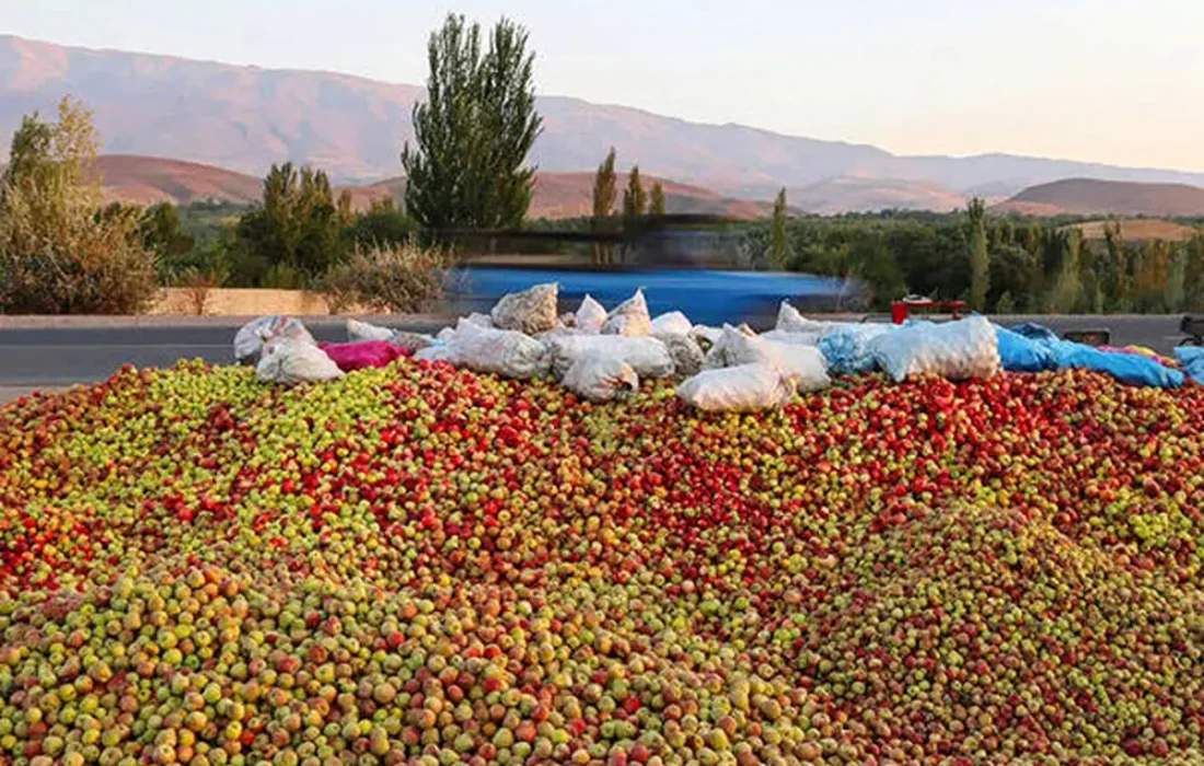 دپوی دسترنج باغداران آذربایجان غربی در کنار جاده ها