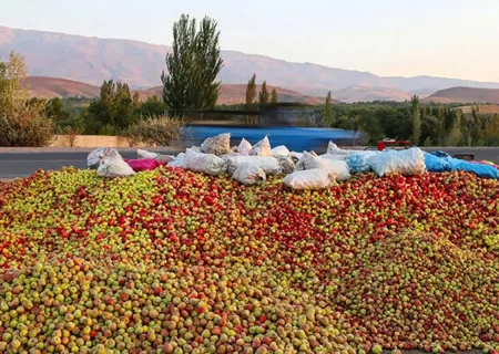 دپوی دسترنج باغداران آذربایجان غربی در کنار جاده ها