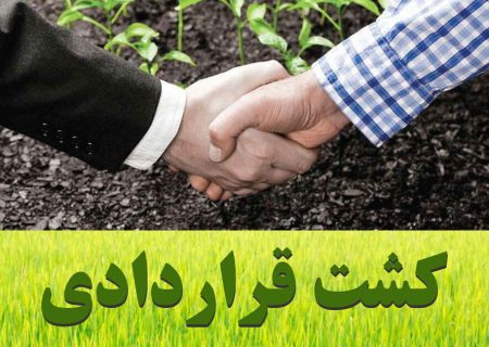 وزارت جهاد کشاورزی از اجرا و توسعه کشت قراردادی توسط بخش خصوصی حمایت می کند