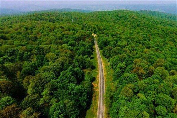 جنگل‌کاری در مجموعه گردشگری گرده داغ زنجان توسعه می‌یابد