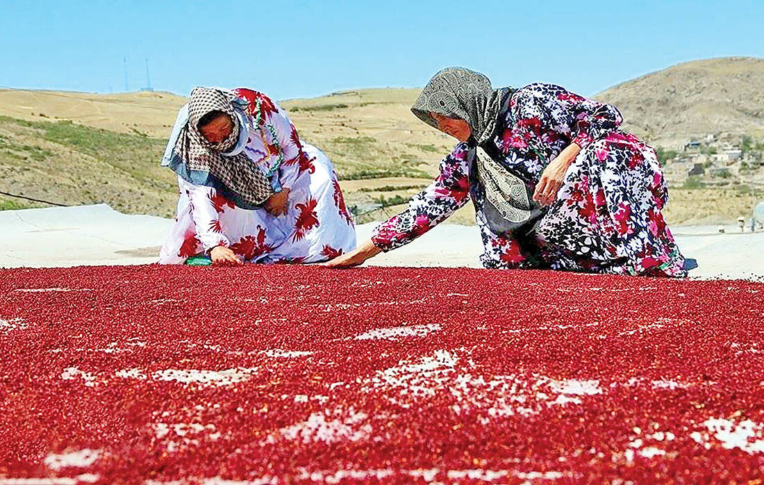 اجرای طرح گردشگری کشاورزی در هوراند