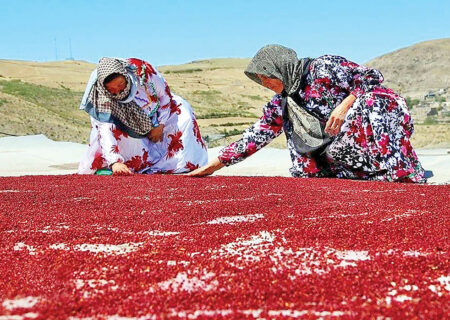 اجرای طرح گردشگری کشاورزی در هوراند