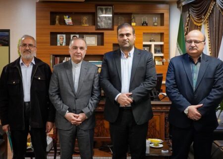 توسعه همکاری‌های راهبردی با ارمنستان