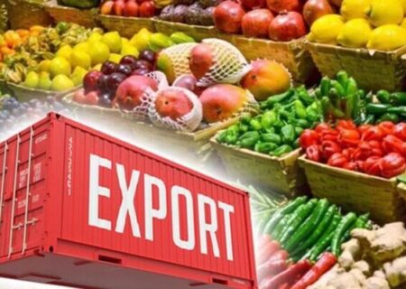 افزایش ۳۸ درصدی ارزش صادرات بخش کشاورزی در آذربایجان شرقی