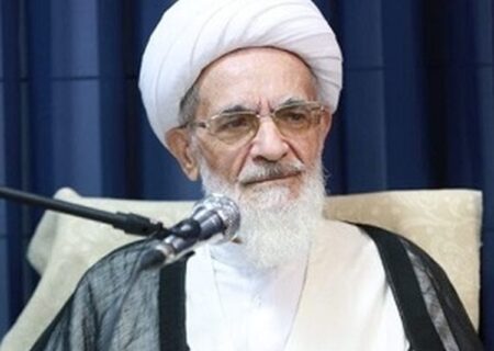 آیت‌الله بیات زنجانی: در حال مطالعه‌ام برای تغییر رأی سابقم دربارۀ تفاوت دیۀ زن و مرد