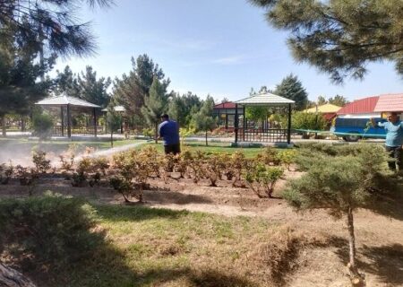 آغاز سمپاشی گل‌های زینتی در سطح شهر