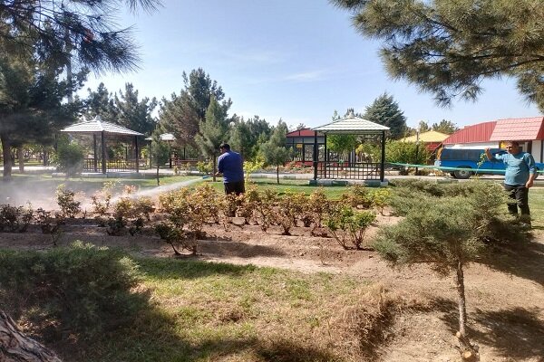 آغاز سمپاشی گل‌های زینتی در سطح شهر