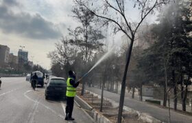 استمرار اجرای سمپاشی بهاره درختان در تبریز با هدف کنترل و مبارزه با آفات گیاهی
