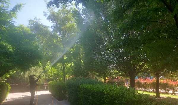 هدف گذاری برای سمپاشی ۱۴۰ هزار اصله درخت در جنوب غرب تبریز طی ۷ روز آینده