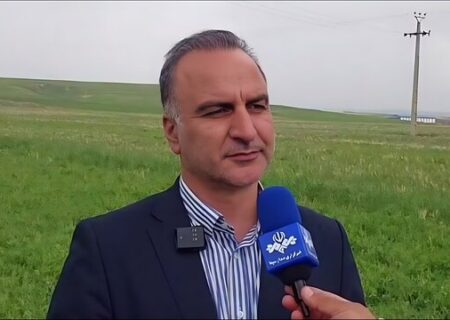 خرید تضمینی ۱.۷ میلیون تن گندم در کشور