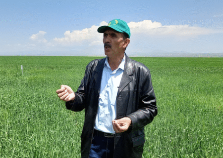 ایجاد ۱۰۰ پایگاه نوآوری برای انتقال نوآوری‌های جدید در کشور