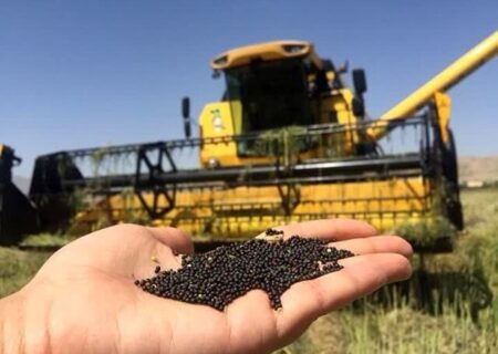 خرید ۷۴۰ تن کلزا در تعاون روستایی آذربایجان شرقی