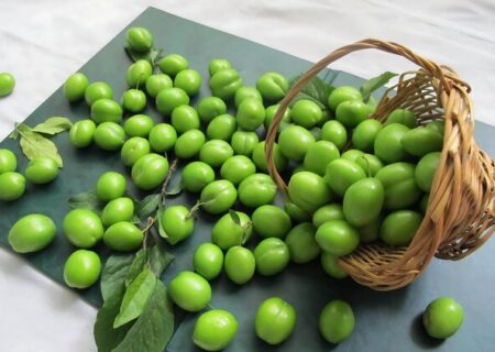 آذربایجان شرقی با تولید ۳۳ هزار تن قطب تولید گوجه سبز ایران است