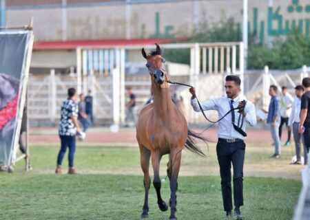 ثبت جشنواره «شو اسب‌سواری» سرعین در تقویم رویدادهای گردشگری کشور