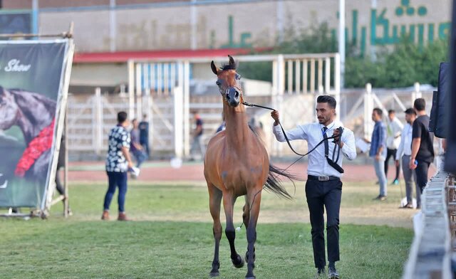ثبت جشنواره «شو اسب‌سواری» سرعین در تقویم رویدادهای گردشگری کشور