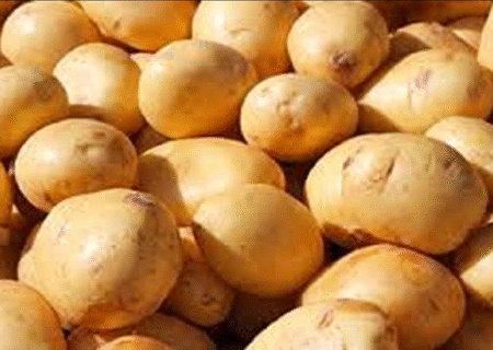 بحران سیب‌زمینی در عجب‌شیر؛ کشاورزان در آستانه ورشکستگی