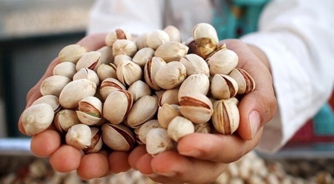 “ایلخچی” برند جدید پسته ایرانی