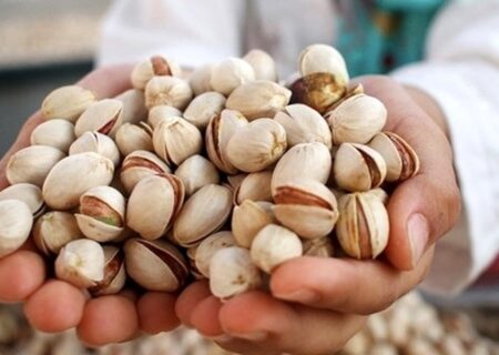 “ایلخچی” برند جدید پسته ایرانی