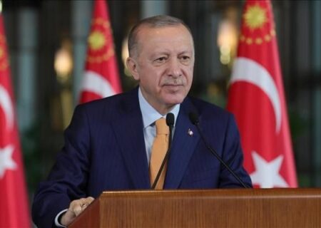 اردوغان با هیئتی از حزب دموکرات دیدار می‌کند