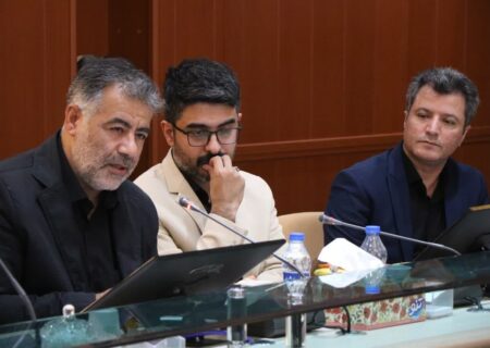 تأکید بر اهمیت وحدت و آرامش در نشست تخصصی شبکه ایران یاران جوان