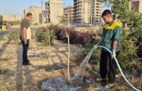 تأکید بر آبیاری منظم فضاهای سبز شهری در روزهای گرم پیش رو