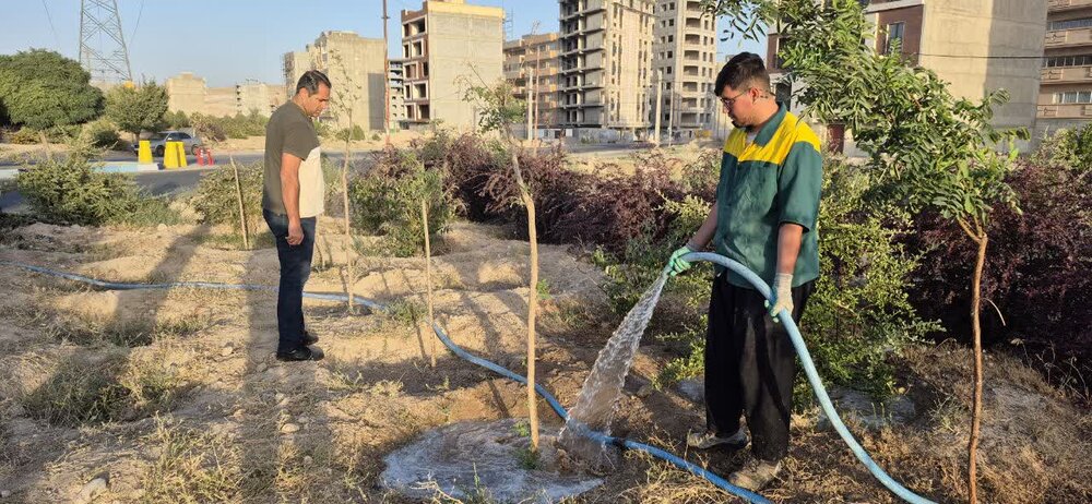 تأکید بر آبیاری منظم فضاهای سبز شهری در روزهای گرم پیش رو