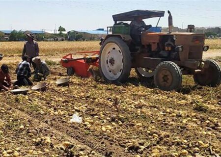 بیشترین سهم در تولید ناخالص داخلی استان اردبیل با کشاورزی، جنگل‌داری و ماهی‌گیری