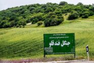 جنگل فندقلو بهشتی در دل نمین