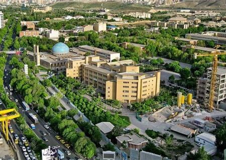 بدون رعایت ماده ۷ درخت ۸۰ ساله قطع شده است/ کمبود فضای سبز در تبریز