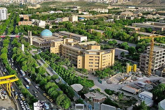 بدون رعایت ماده ۷ درخت ۸۰ ساله قطع شده است/ کمبود فضای سبز در تبریز