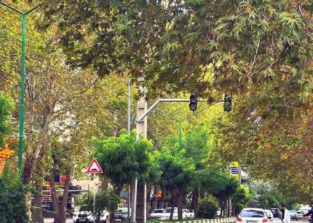 خشک شدن درختان خیابان دانشکده اورمیه؛ فاجعه‌ای دیگر پس از دریاچه