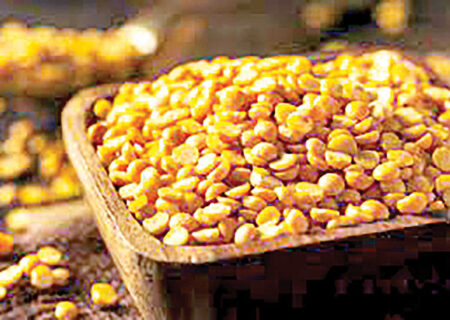 لپه آذرشهر، برندی دو قرنی از شمالغرب ایران تا بازارهای جهانی