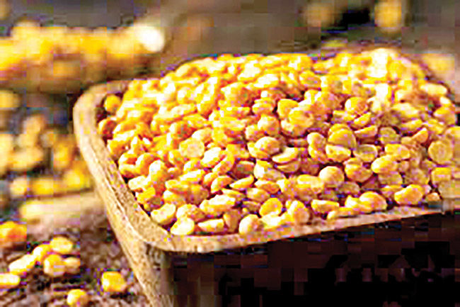 لپه آذرشهر، برندی دو قرنی از شمالغرب ایران تا بازارهای جهانی