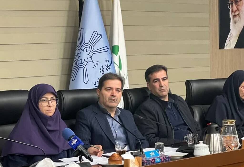 رییس سازمان حفاظت محیط زیست: فرونشست زمین در ۳۰ استان گزارش شد