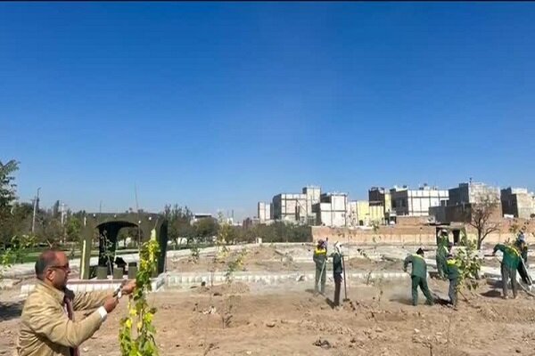 رویش سبزینگی در مسیر توسعه/ “باغ امیر” جان گرفت