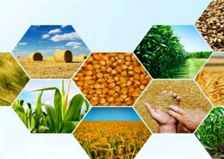 آخرین وضعیت تولیدات کشاورزی آذربایجان‌شرقی در پی خشکسالی و کاهش بارندگی