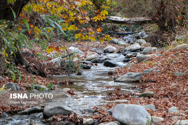 آیا مقایسه اقلیمی ایران با همسایگان درست است؟