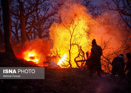 سوختن مجدد برگ‌های پاییزی، شائبه آتش‌سوزی دوباره جنگل دیزمار را ایجاد کرده است