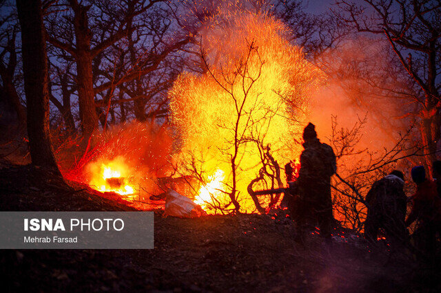 سوختن مجدد برگ‌های پاییزی، شائبه آتش‌سوزی دوباره جنگل دیزمار را ایجاد کرده است