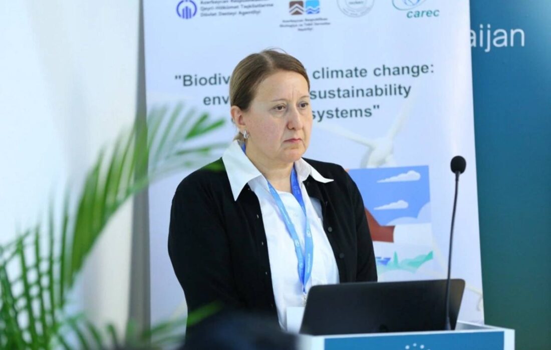 کنفرانس بیست و نهم در باکو نقطهٔ آغاز راهبردی بود و بلم برزیل مرحلهٔ تداوم عملی آن