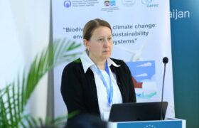 کنفرانس بیست و نهم در باکو نقطهٔ آغاز راهبردی بود و بلم برزیل مرحلهٔ تداوم عملی آن