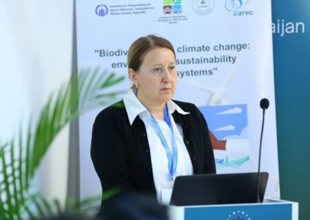 کنفرانس بیست و نهم در باکو نقطهٔ آغاز راهبردی بود و بلم برزیل مرحلهٔ تداوم عملی آن