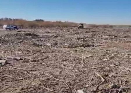 طرح گسترده انبوه‌کاری در محدوده “ناحیه گیاه‌شناسی” تبریز آغاز شد