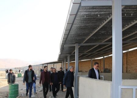 میدان دام جدید تبریز در آستانه بهره‌برداری/گام موثر شهرداری در ساماندهی چوبداران و بهبود مدیریت مشاغل شهری